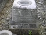 image of grave number 238535